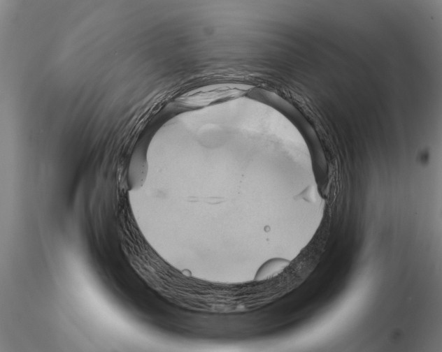 X0000115010143200912071213