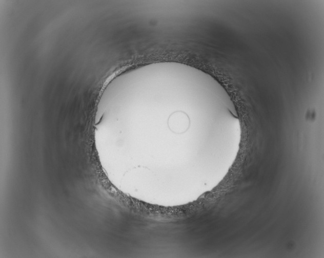 X0000115010144200912071213