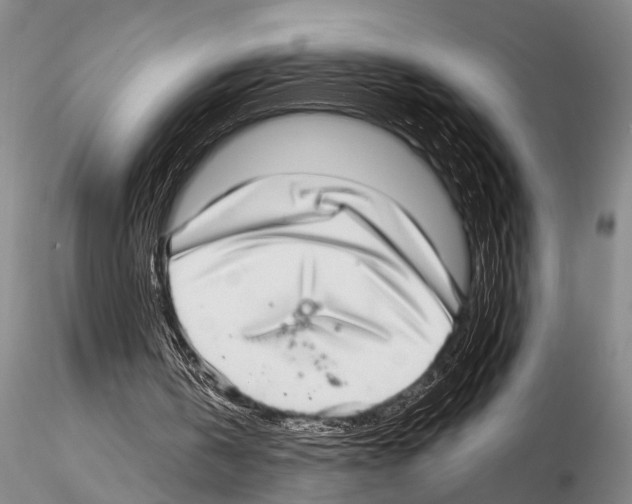 X0000115010146200912071212