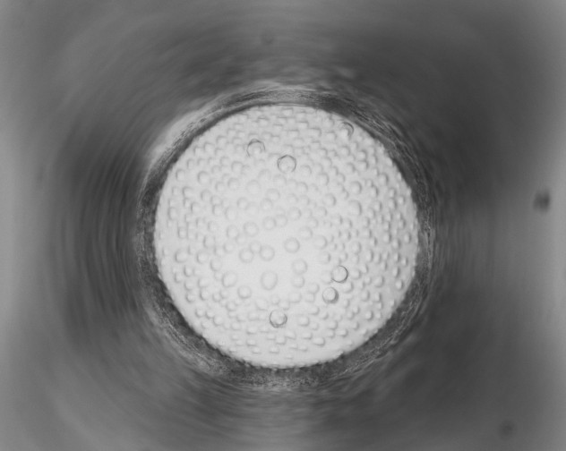 X0000115010149200912071212