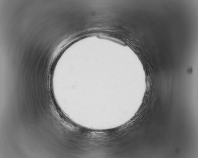 X0000115010150200912071212