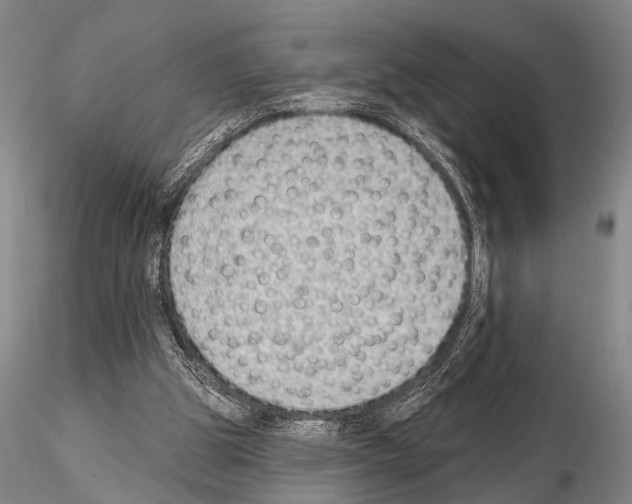 X0000115010153200912071212