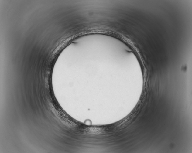 X0000115010154200912071212