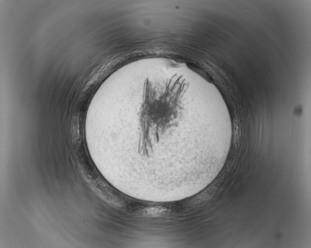 X0000115010158200912071212