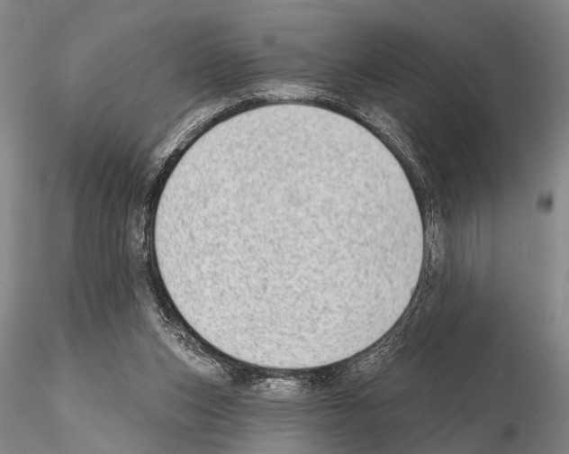 X0000115010159200912071212