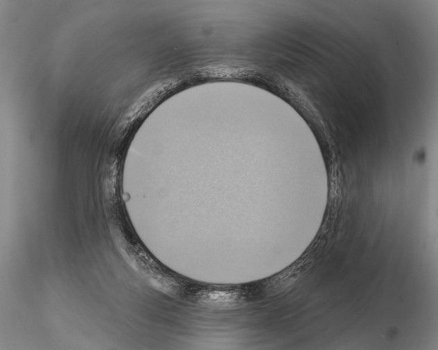 X0000115010163200912071212