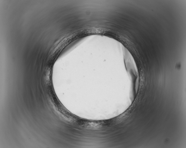 X0000115010166200912071212