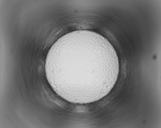 X0000115010169200912071212