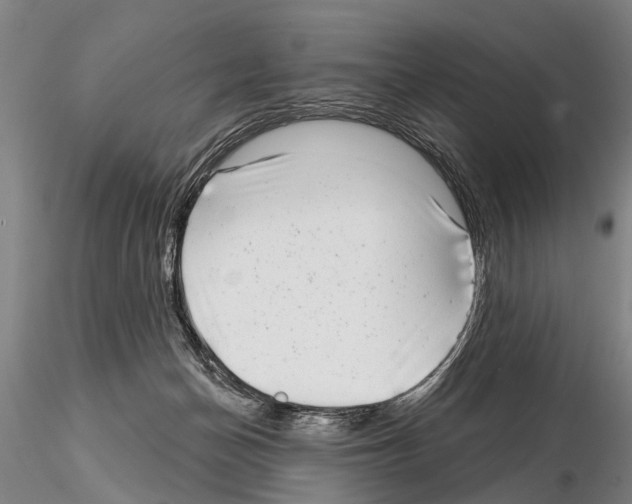 X0000115010174200912071212