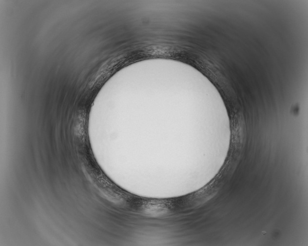 X0000115010175200912071212