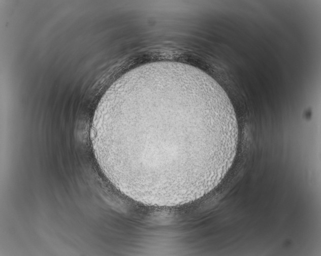 X0000115010177200912071212