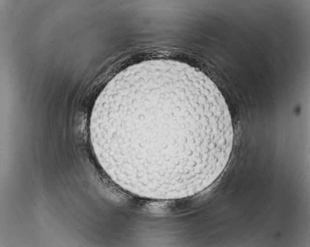 X0000115010178200912071212