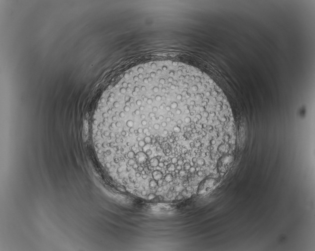 X0000115010183200912071212