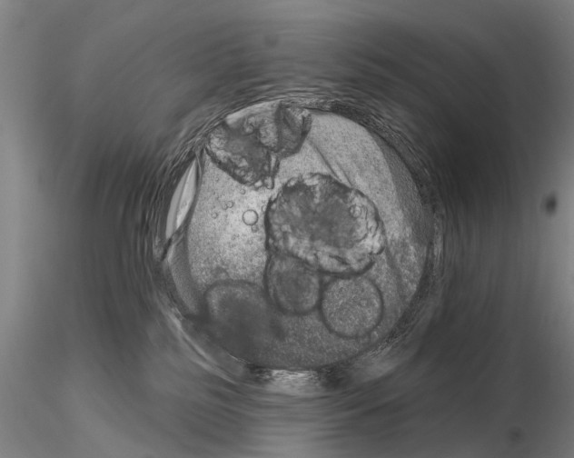 X0000115010185200912071212