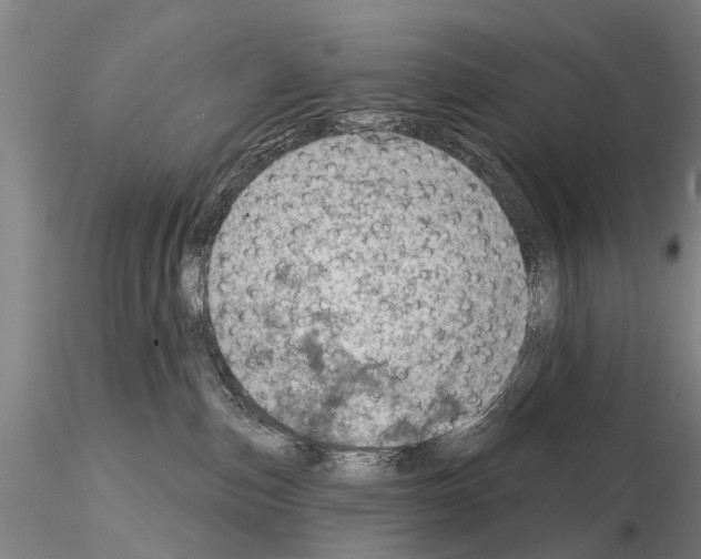 X0000115010187200912071213