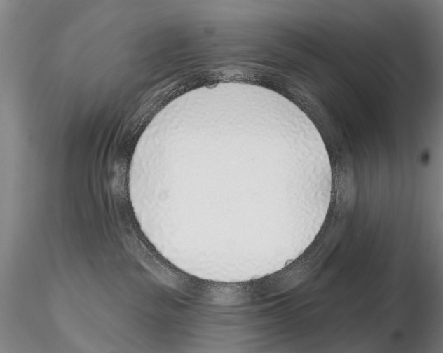 X0000115010189200912071213