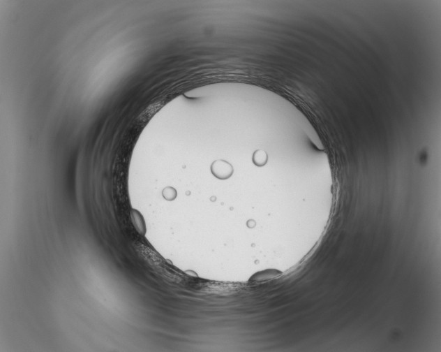 X0000115010190200912071213