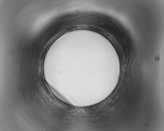 X0000115010194200912071212