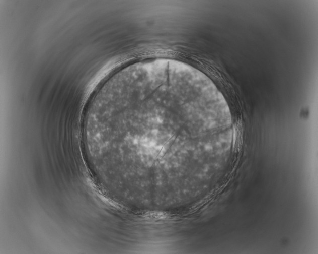 X0000115010195200912071212