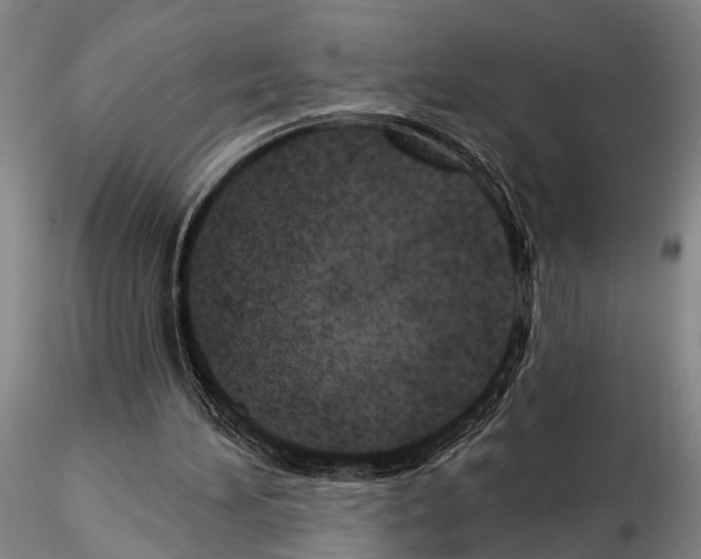 X0000115010196200912071212