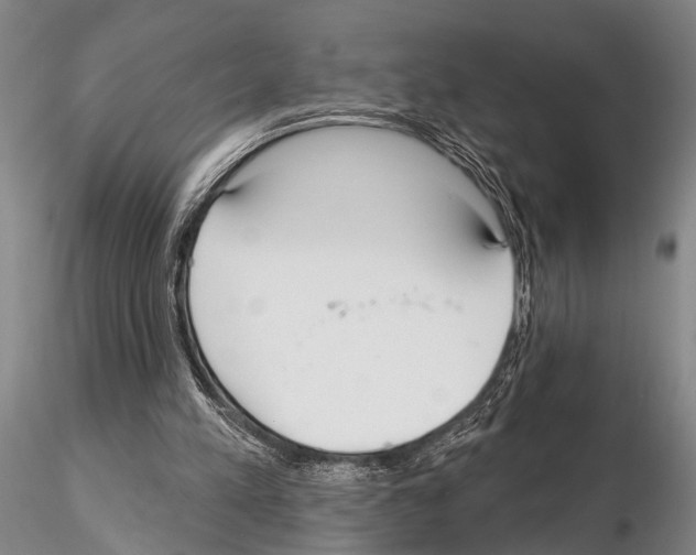 X0000115010197200912071212