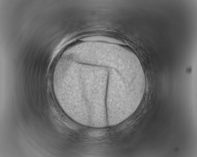 X0000115010198200912071212