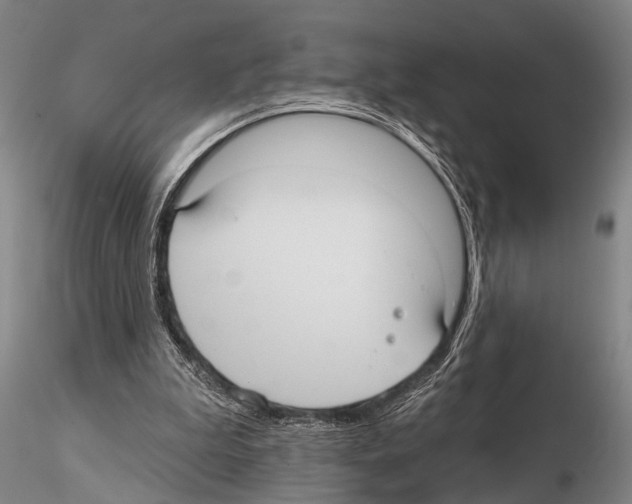 X0000115010199200912071212