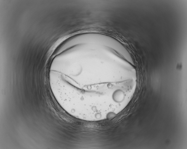 X0000115010200200912071212