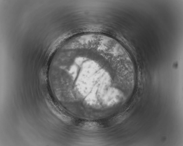 X0000115010203200912071212