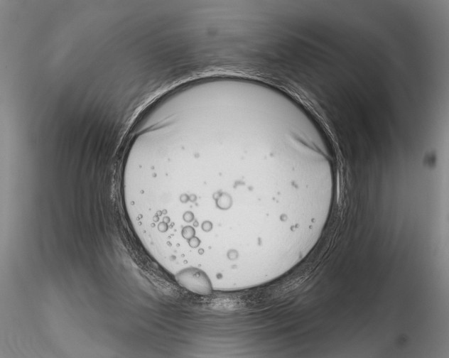 X0000115010204200912071212