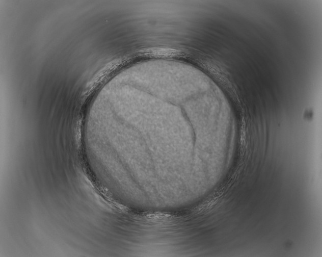 X0000115010206200912071212