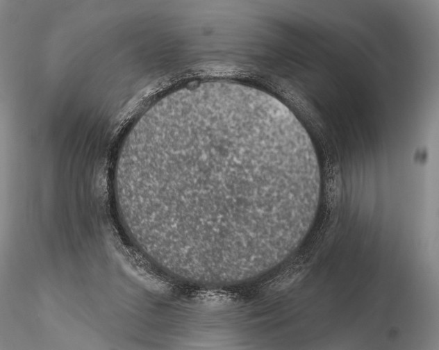 X0000115010207200912071212