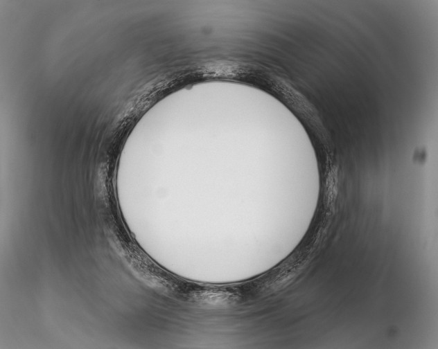 X0000115010209200912071212