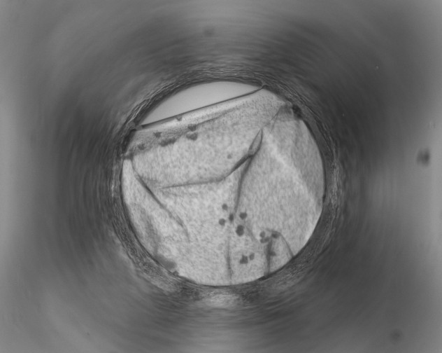 X0000115010210200912071212