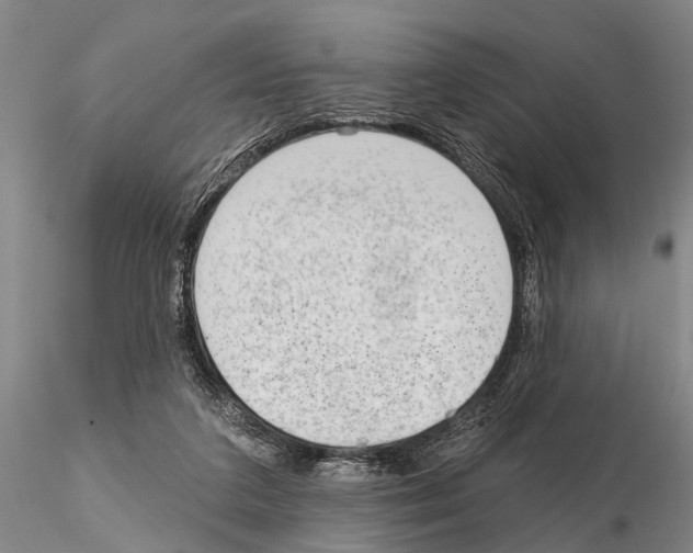 X0000115010211200912071211