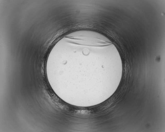 X0000115010212200912071211