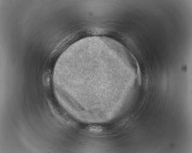 X0000115010214200912071211