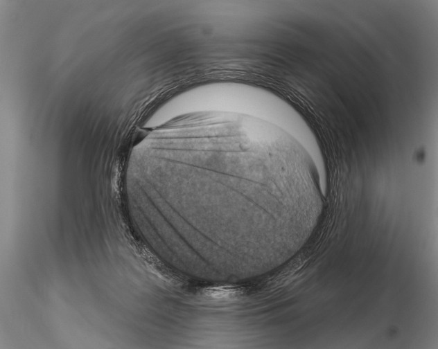 X0000115010219200912071211