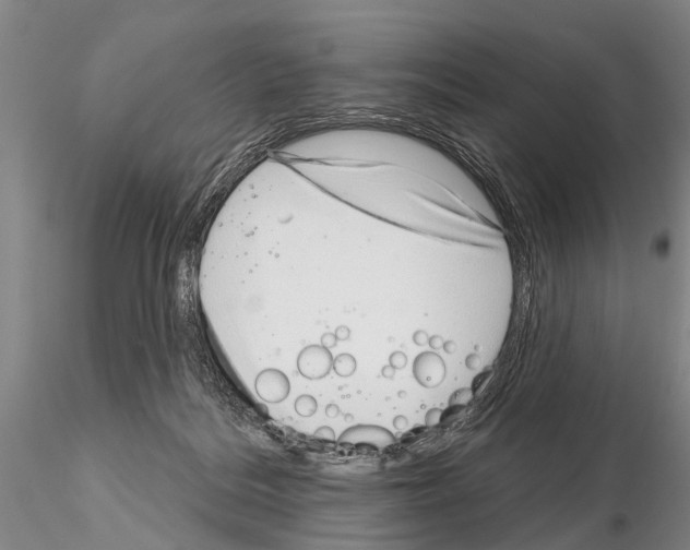 X0000115010220200912071211