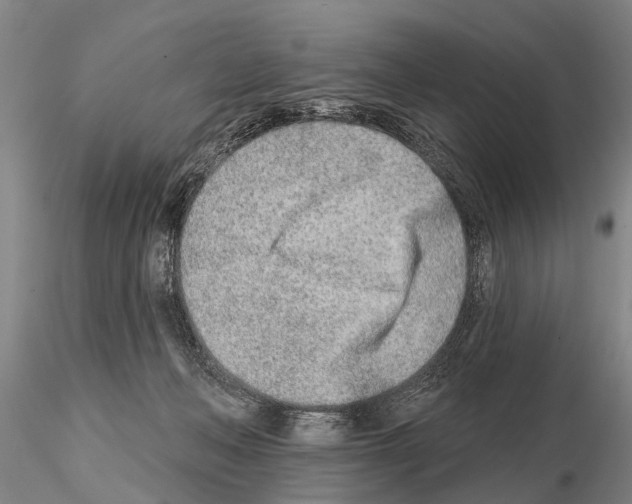 X0000115010222200912071211