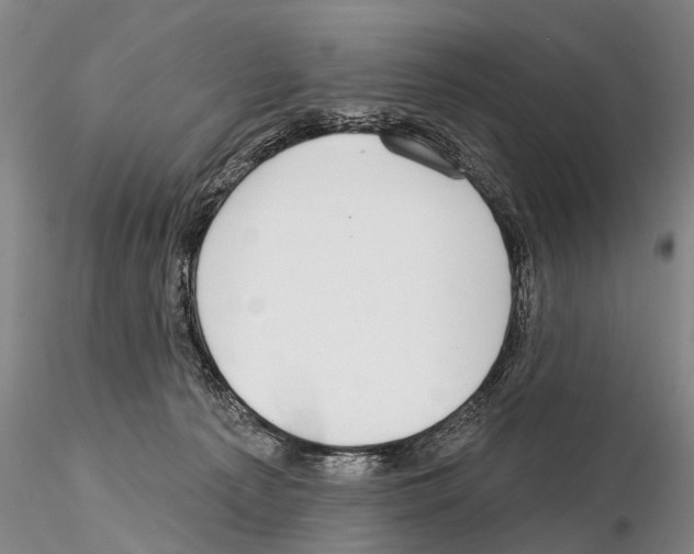 X0000115010225200912071211