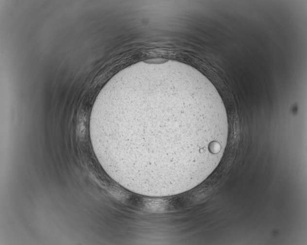 X0000115010226200912071211