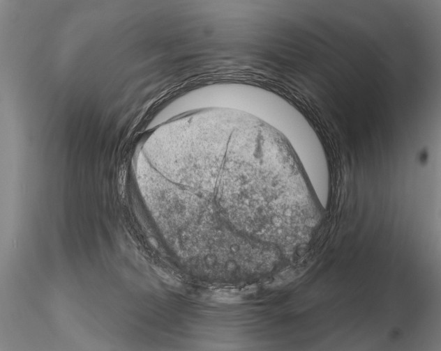 X0000115010228200912071211