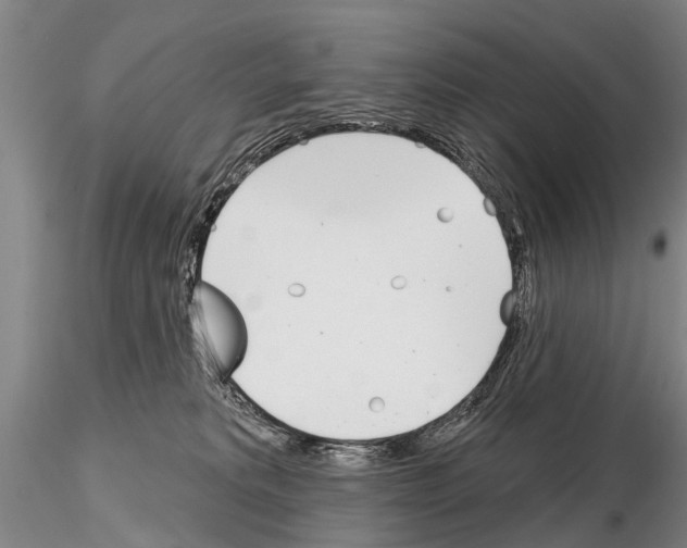 X0000115010229200912071211