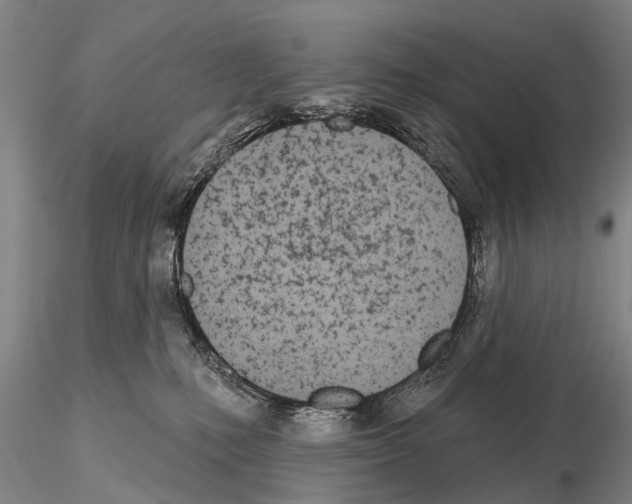 X0000115010231200912071211