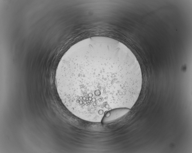 X0000115010232200912071211