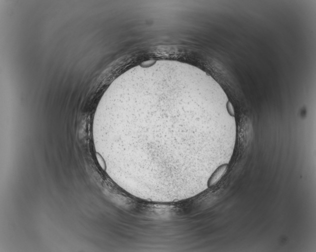 X0000115010233200912071211