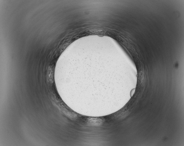 X0000115010234200912071211