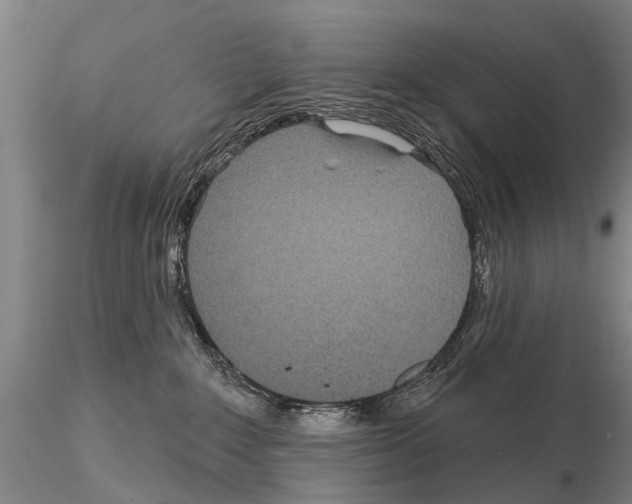 X0000115010235200912071211