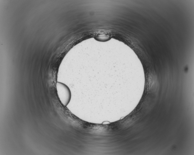 X0000115010236200912071211